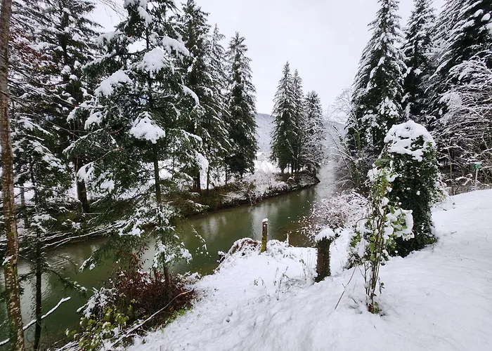 Woodhousedream Jakuzzi Vakantiehuis